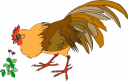 Chicken Clipart