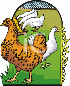 Farm Clipart