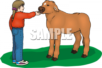 Calf Clipart