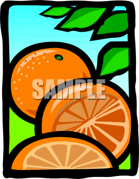 Orange Clipart