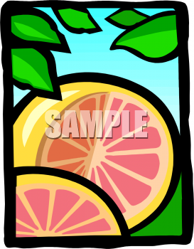 Grapefruit Clipart