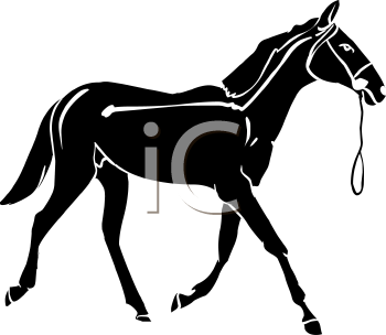 Horse Clipart