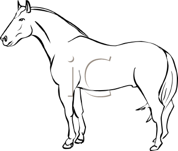 Horse Clipart