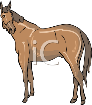 Horse Clipart