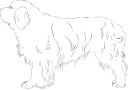 Dog Clipart