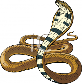 Snake Clipart