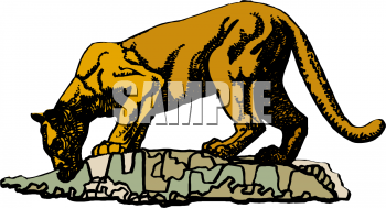 Cougar Clipart