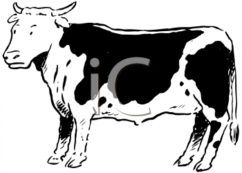 Cow Clipart