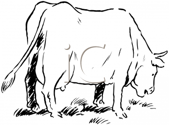 Cow Clipart