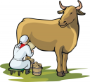 Cow Clipart