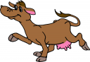 Cow Clipart