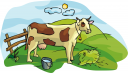 Cow Clipart