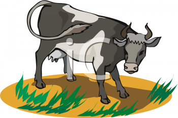 Cow Clipart