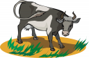 Cow Clipart