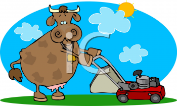 Cow Clipart