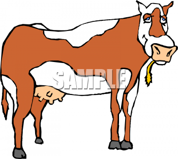 Cow Clipart