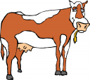 Cow Clipart