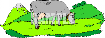 Cow Clipart