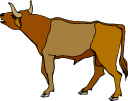 Cow Clipart