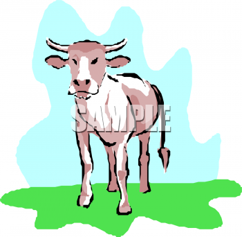 Cow Clipart