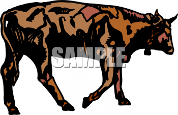 Cow Clipart