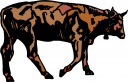 Cow Clipart