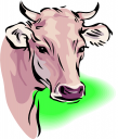 Cow Clipart