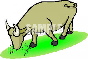 Cow Clipart