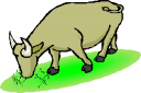 Cow Clipart