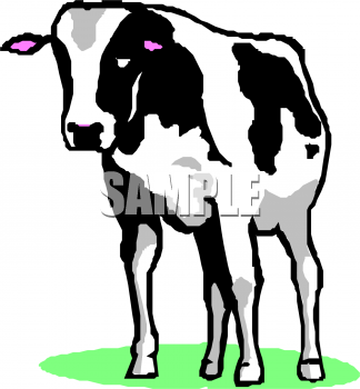 Cow Clipart