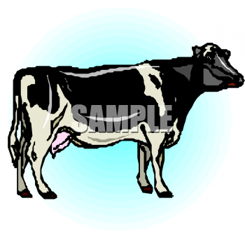 Cow Clipart