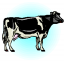 Cow Clipart