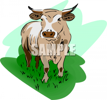 Cow Clipart