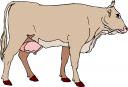 Cow Clipart