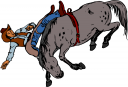 Horse Clipart