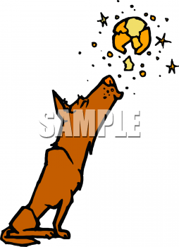 Coyote Clipart