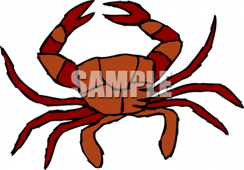 Crab Clipart