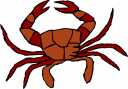 Crab Clipart