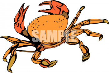 Crab Clipart