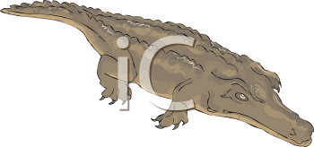 Crocodile Clipart