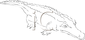 Crocodile Clipart