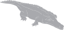 Crocodile Clipart