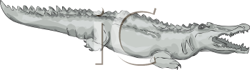 Crocodile Clipart