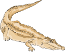 Crocodile Clipart