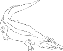 Crocodile Clipart