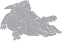 Crocodile Clipart