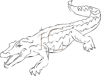 Crocodile Clipart