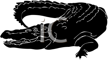 Crocodile Clipart