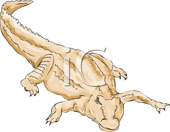 Crocodile Clipart