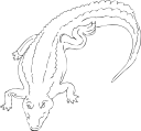 Crocodile Clipart